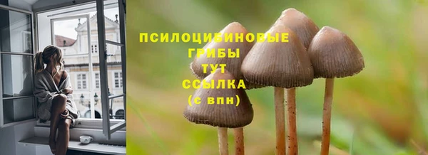 ПСИЛОЦИБИНОВЫЕ ГРИБЫ Приозерск