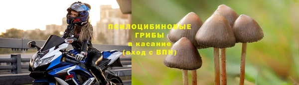 трава Протвино