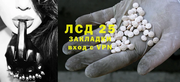 ПСИЛОЦИБИНОВЫЕ ГРИБЫ Приозерск