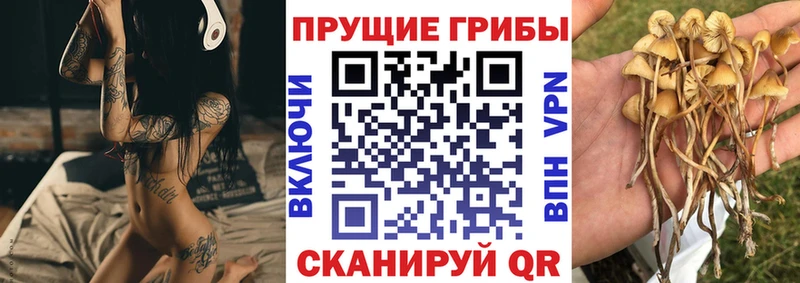 Псилоцибиновые грибы прущие грибы  blacksprut зеркало  Юхнов 